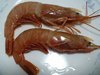 20061119_akaebi_1